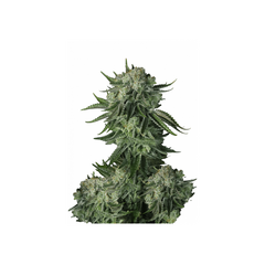 Gorilla Glue Auto / Glue Auto, Фасовка: 1